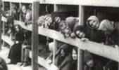 Questa foto documenta l'affollamento all'interno di una baracca di un campo di concentramento. In questi campi furono perseguitati anche i testimoni di Geova come unico gruppo religioso perseguitato come tale dai nazisti.