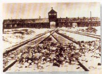 Ad Auschwitz morirono pi di 1.000.000 di persone, la maggioranza perch erano ebrei. Qui nel maggiore complesso di campi di concentramento, lavoro e sterminio (dal giugno 1940 al 27 gennaio 1945) trovarono la morte anche rom ("zingari"), polacchi, testimoni di Geova e altri.